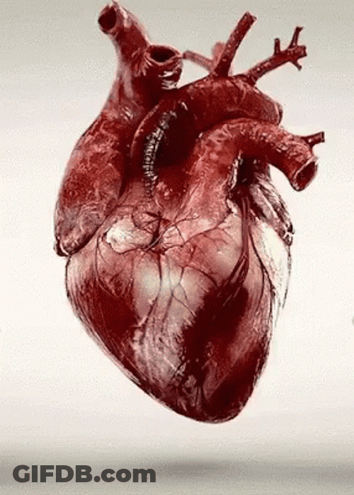Real Moving Heart GIF