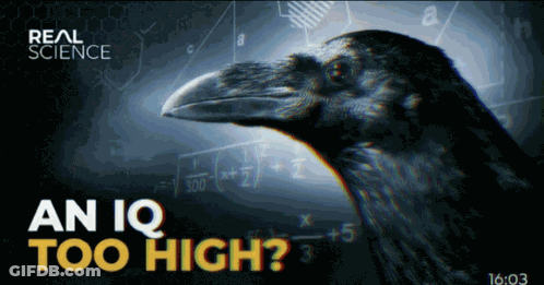 Real Science Ad Crow In Front Of Math Equations GIF