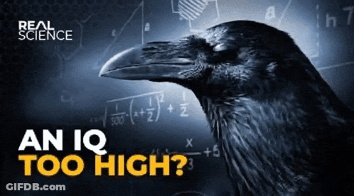 Real Science Poster Crow Math Problem GIF