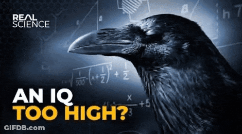 Real Science Poster Crow With Math Problem GIF