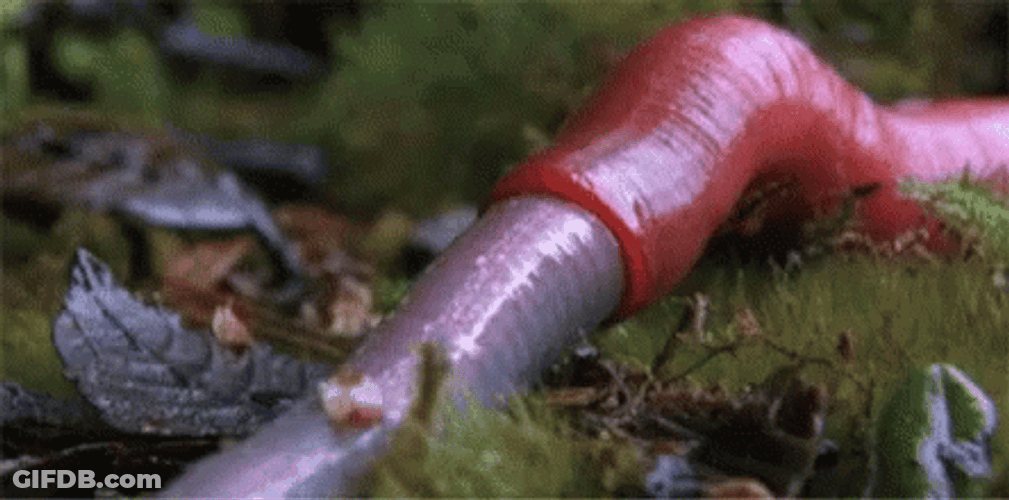 Realistic Worm Zoomed In GIF