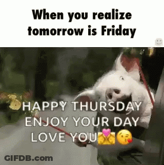 Realizing Tomorrow Is Friday GIF