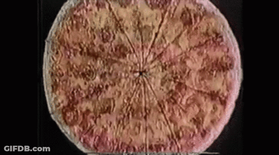 Really Fast Spinning Pizza GIF