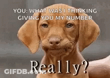 Really Smh GIF