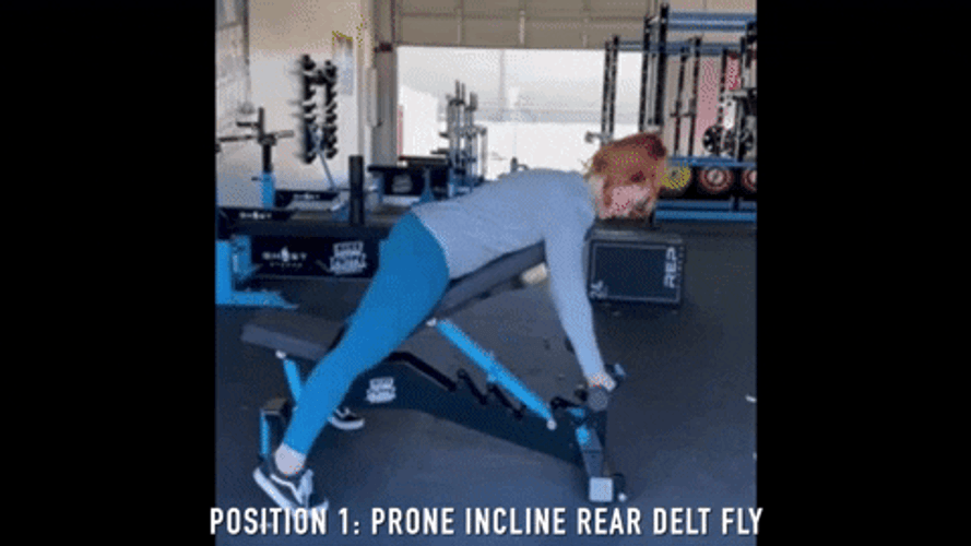 Rear Delt And Lateral Raises GIF