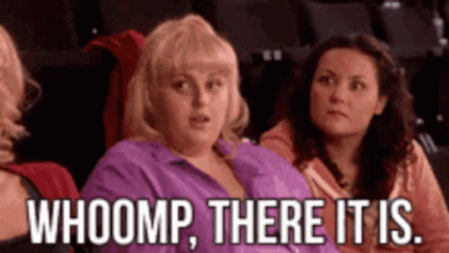 Rebel Wilson There It Is GIF