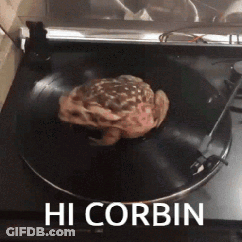 Record Player With Brain Saying Hi Corbin GIF