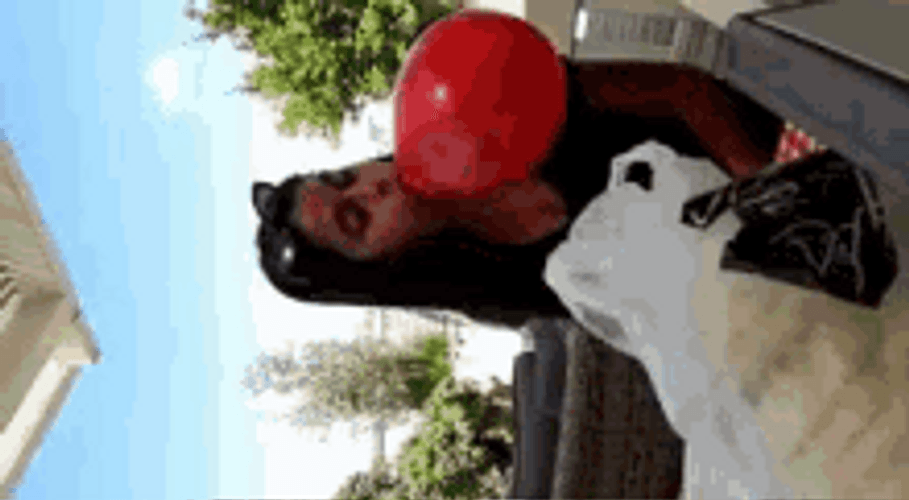 Red Air Birthday Balloons Prepare GIF