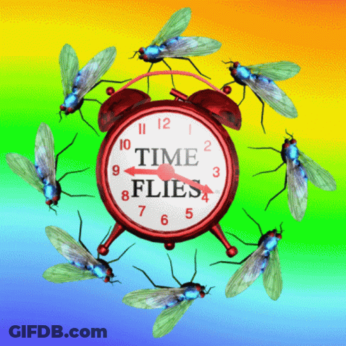 Red Alarm Clock Saying Time Flies GIF