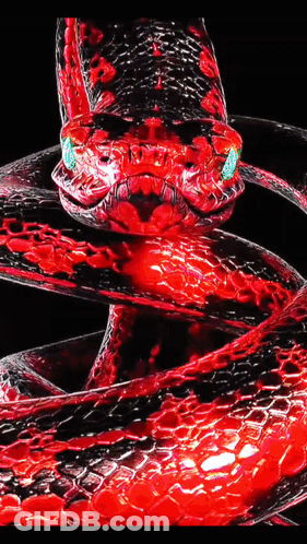 Red And Black Snake With Green Eyes GIF
