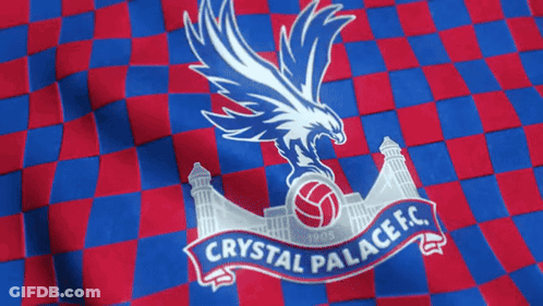 Red And Blue Checkered Shirt With Crystal Palace Logo GIF