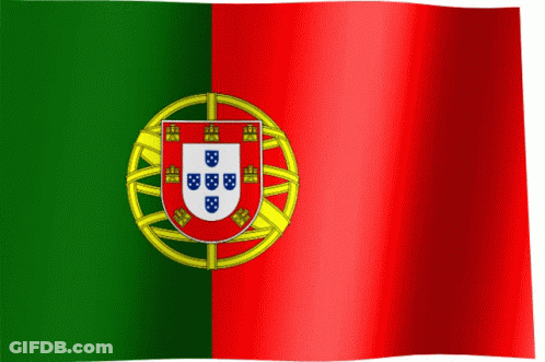 Red And Green Flag With White Shield And Letters BB GIF