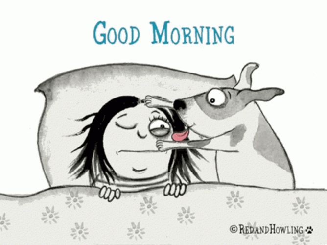 Red And Howling Funny Good Morning GIF