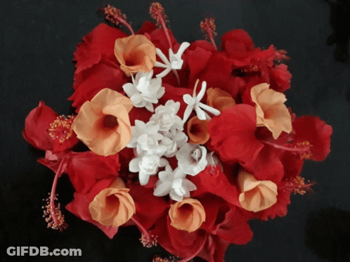 Red And Orange Flowers GIF