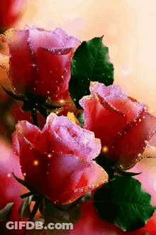 Red And Pink Roses With Glitter GIF