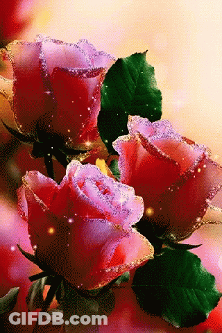 Red And Pink Roses With Green Leaves GIF