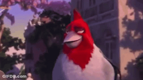 Red And White Bird Standing In Front Of Building GIF