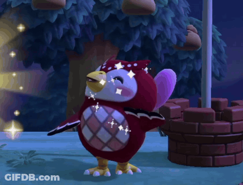 Red And White Bird With Stars On Face GIF