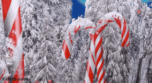 Red And White Candy Canes In The Snow In A Forest GIF