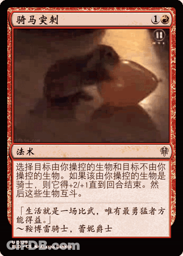 Red And White Card With Turtle GIF