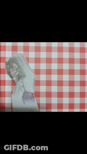 Red And White Checkered Table Cloth Blurred GIF