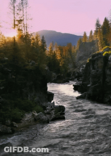 Red And White Flag Flying Over River Banner GIF