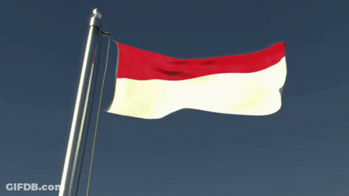 Red And White Flag Waving GIF