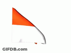 Red And White Flag Waving In Wind GIF