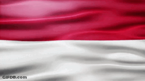 Red And White Flag Waving GIF