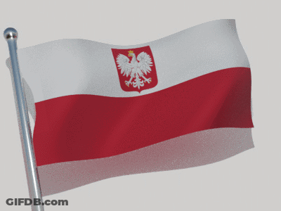 Red And White Flag Waving On Pole GIF