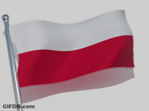 Red And White Flag Waving On Pole GIF