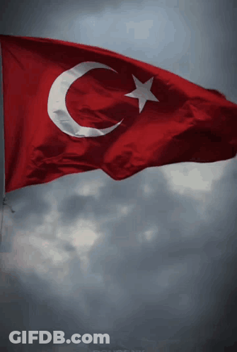 Red And White Flag With Crescent Moon And Star GIF