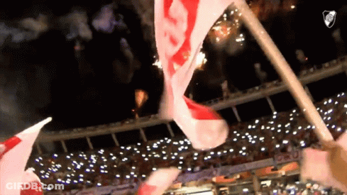 Red And White Flag With Letter S Waved In Stadium GIF