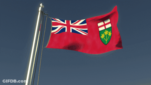 Red And White Flag With Shield GIF