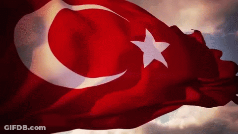 Red And White Flag With Star And Crescent Moon GIF