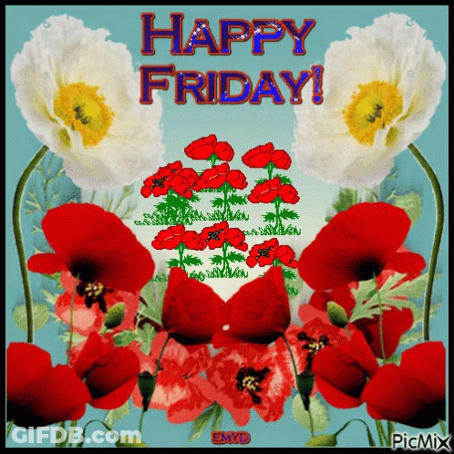 Red And White Flowers Happy Friday GIF