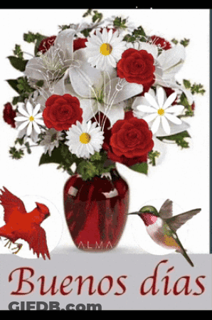Red And White Flowers With Hummingbird And Cardinals Saying Buenos Dias GIF