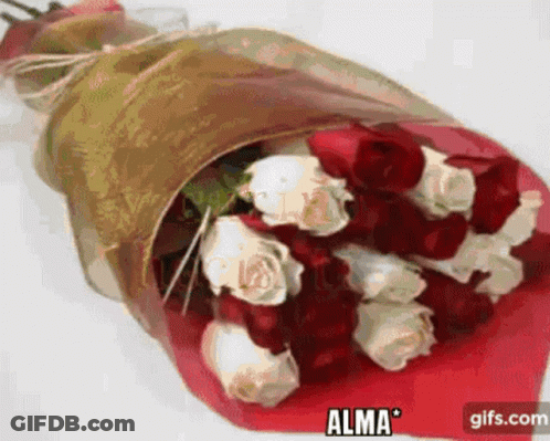 Red And White Roses Wrapped In Red Paper With Alma GIF
