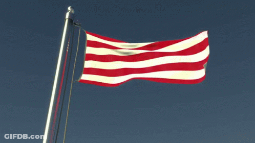 Red And White Striped Flag Flying GIF