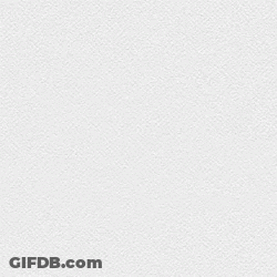 Red And White Swiss Bank Logo With Bear On Slope GIF