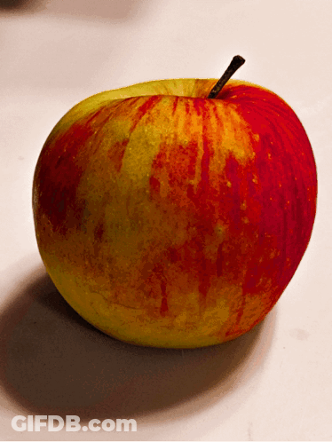 Red And Yellow Apple With Black Stem GIF
