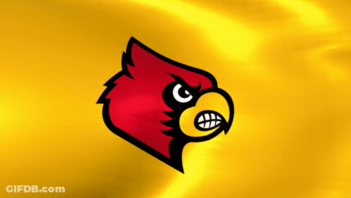 Red And Yellow Bird With Yellow Beak GIF