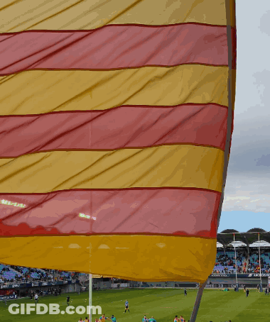 Red And Yellow Flag Flying In Front Of Stadium GIF