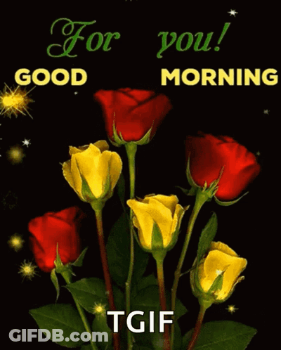 Red And Yellow Roses For You Good Morning TGIF GIF