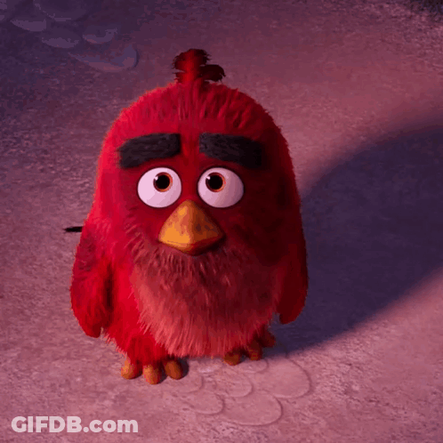 Red Angry Bird With Big Eyes And Yellow Beak Standing In Snow GIF