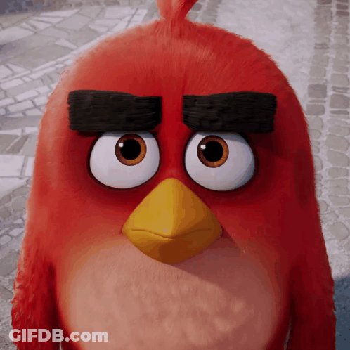 Red Angry Bird With Yellow Beak And Black Eyebrows GIF