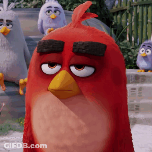 Red Angry Bird With Yellow Beak In Front Of Fence GIF