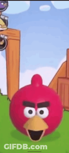Red Angry Bird With Yellow Beak In Grassy Field GIF