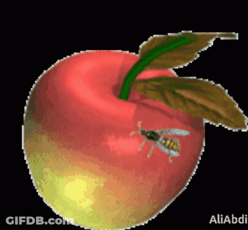 Red Apple With Green Leaf And Wasp GIF