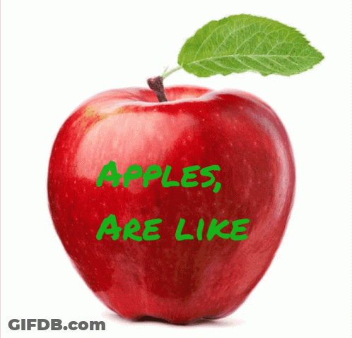 Red Apple With Green Leaf Saying Apples Are Like GIF